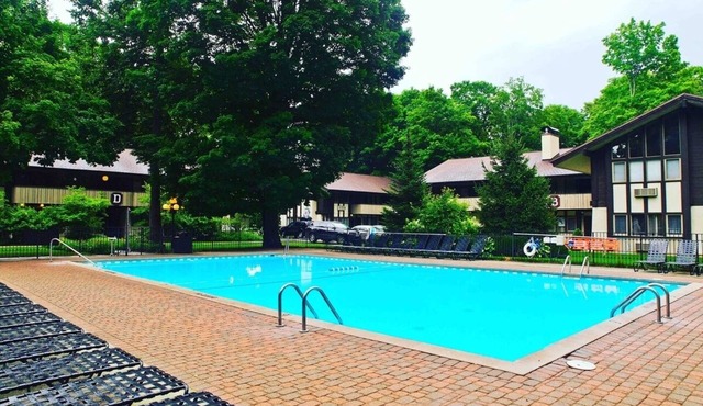 Coming for a short trip but don't want to stay in a hotel room? Stay Downhill. Comfy, cozy and the feel of home! Kitchenette stocked with essentials to make a quick meal. Extra comfortable bedding and lounging areas. Walking distance to ski lift.