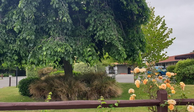 Commodore Motor Lodge