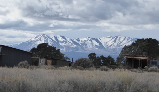 Commune with nature at very rustic 1920's homestead on 12.5 acres.