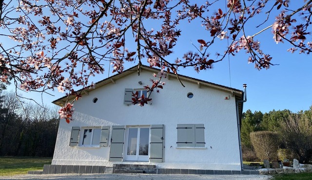 Complete tranquility - house in 3 acres of land surrounded by woods.