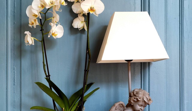 Completely renovated studio for 4, downtown Salins Les Bains with garden