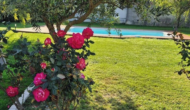 Completely renovated room on ground floor, parking in front, at the end of a quiet cul-de-sac.