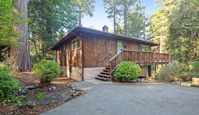Completely Renovated Home in the Redwoods w/ Large Deck - Near Town/Beaches!