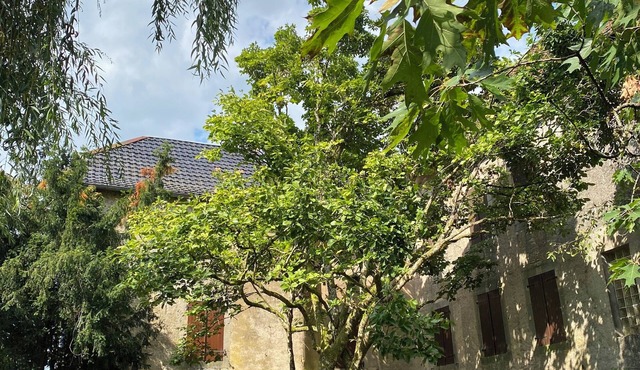 Comtoise family house