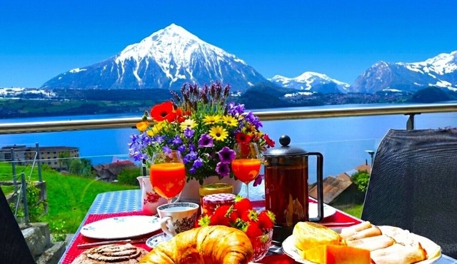 Concierge, Lake Thun/Alps Scenic Views by SwissHut