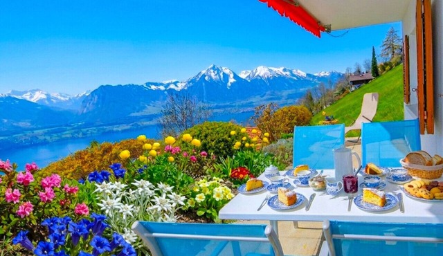 Concierge, Lake Thun/Alps Scenic Views by SwissHut