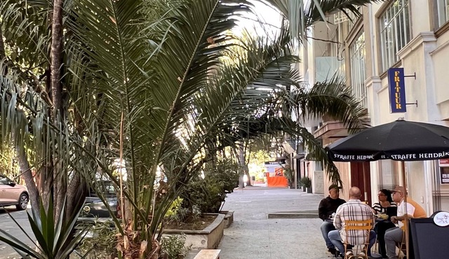 Condesa Residence Campeche 276