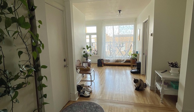 Condo à Louer, Mois de Novembre. Idéal Pour Travailleur
