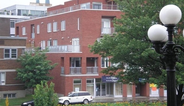 Condo 302 Steps to Marché Jean Talon. Venture Into This World