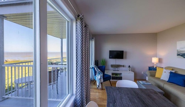 Condo by the river - migratory birds in the spotlight
