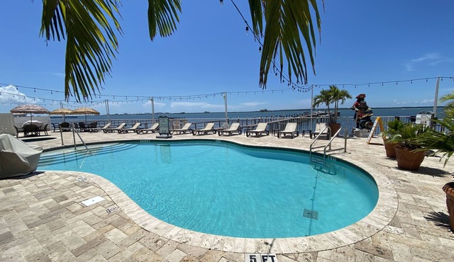 Condo in Gulf Waterfront Resort - Clearwater & Honeymoon Beach, Free Bikes