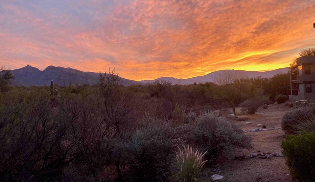 Condo opens to lush desert with unobstructed views of Catalina-Rincon mtns