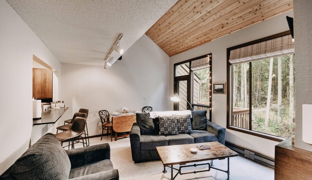 Condo - Pets OK - Fireplace, Sleeps 4!