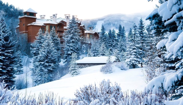 Condo with ski-in/ski-out access with a Fireplace