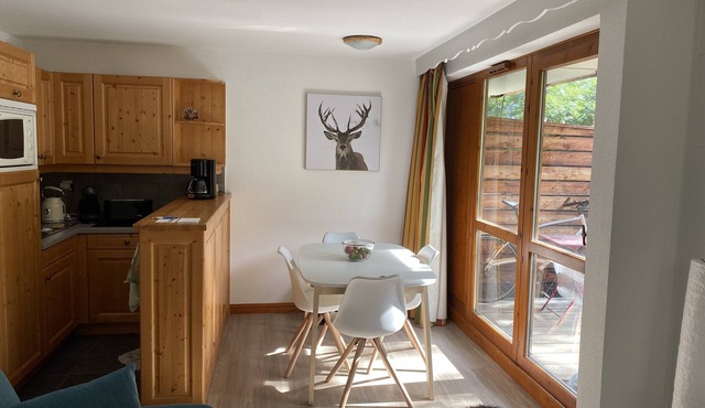 Condominium apartment at the foot of the slopes and 800m from Valloire village