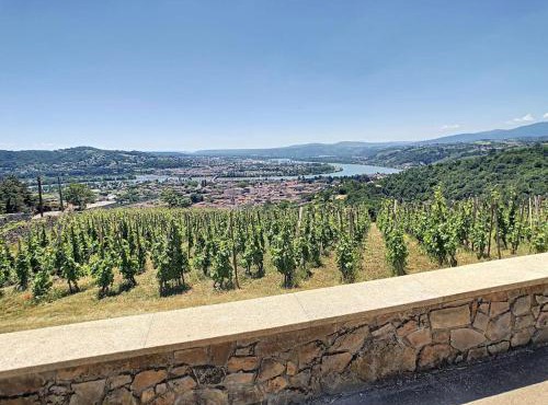 Condrieu, le Châtillon au cœur du vignoble belle vue sur vallée du Rhône