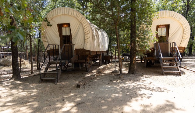 Conestoga Wagon 1 - experience wild west luxury meets wildlife encounters!