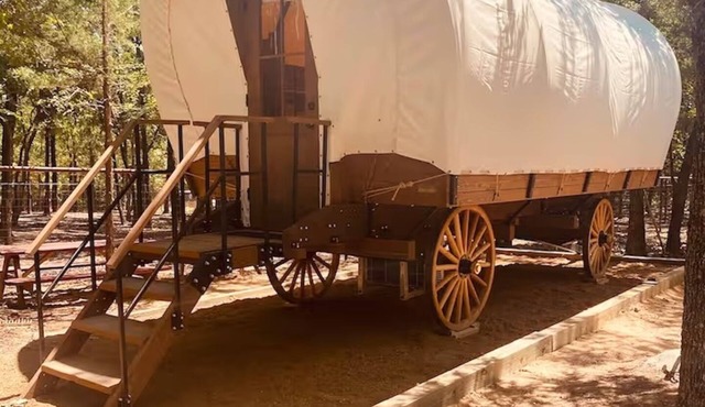 Conestoga Wagon 2 -Wildlife Encounters and a Wild West Wagon!