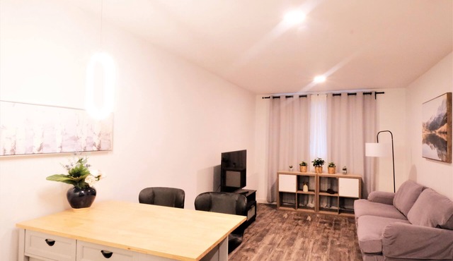 Confortable 3 ½ central, idéal pour découvrir Montréal