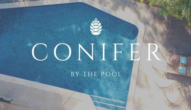 Conifer - Your Private Resort Pool Retreat