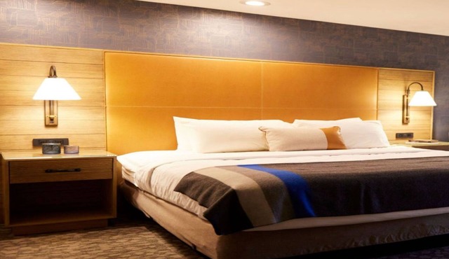 Connect with Nature | 1 King + ADA rated