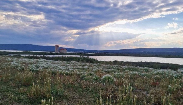 Contemporary family home between sea and salt flats in the Petite Camargue