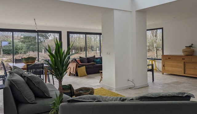 Contemporary house in a wooded garden