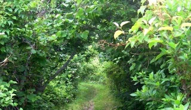 Contemporary Cottage with Breathtaking Views