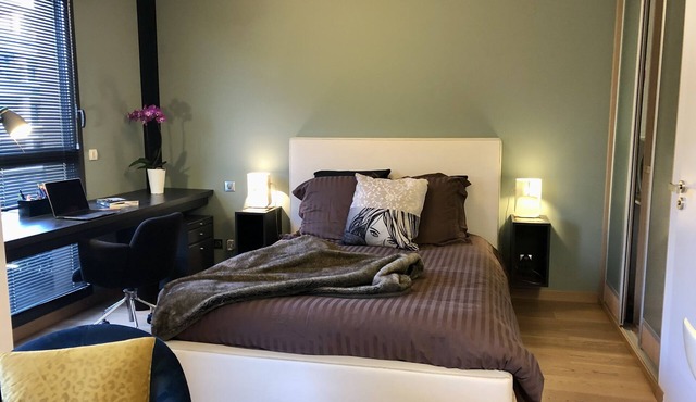 Contemporary deluxe apartment in the heart of AIX EN PROVENCE view Ste Victoire