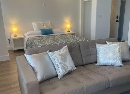 Contemporary Downtown Apartment