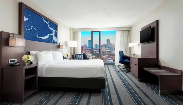 Contemporary Escape in Cambridge – Minutes to Boston Museum of Fine Arts