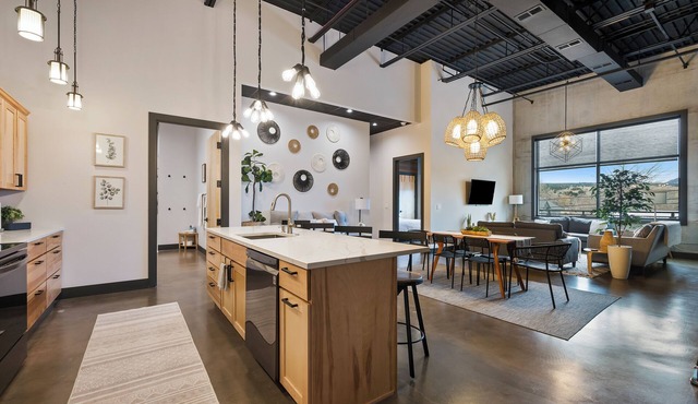 Contemporary family friendly downtown loft