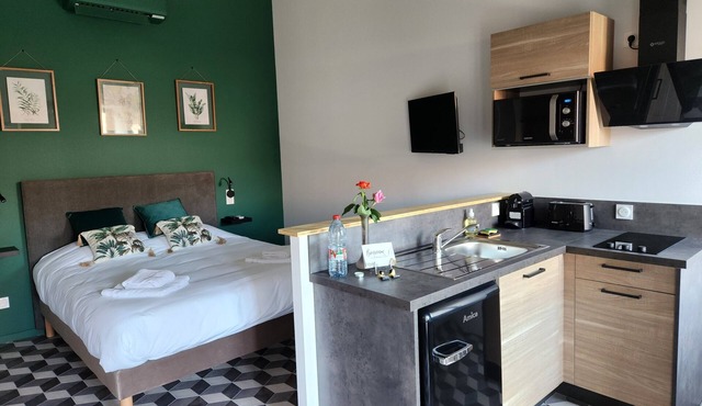 Contemporary gite with pool