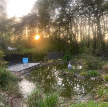 Contemporary House with a Woodland Setting