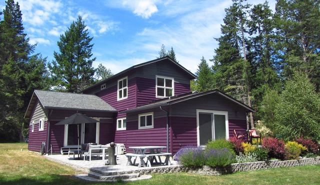 Contemporary in the Woods