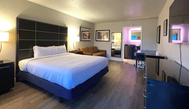 Contemporary King Studio Studio