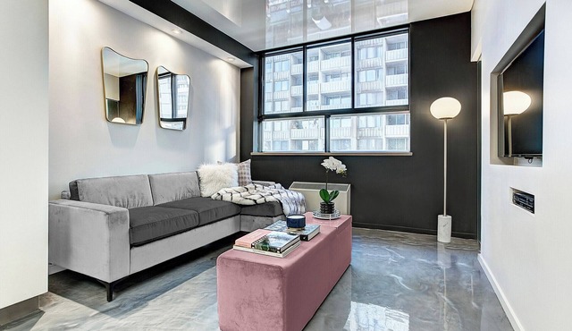 Contemporary Loft with All Amenities