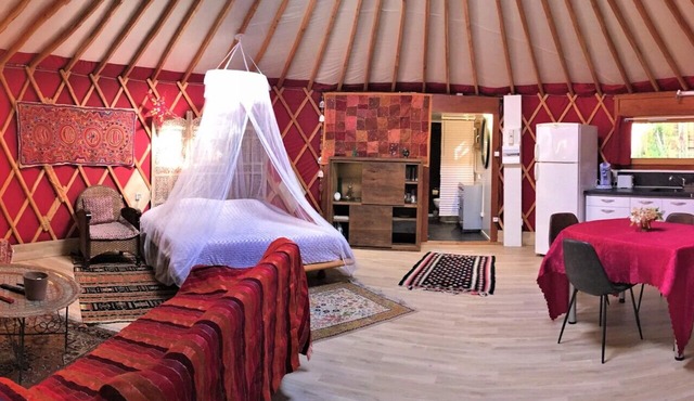 Contemporary luxury yurt