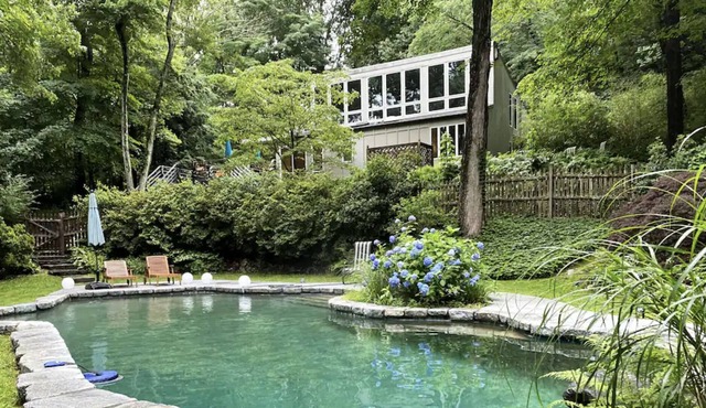 Contemporary Oasis with Pool