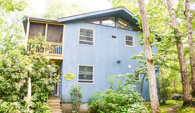 Contemporary Pet-Friendly Year-round Retreat. In the Woods, Walk to Town.