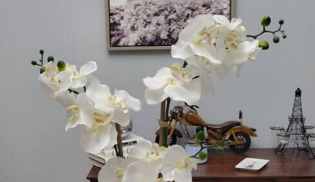 Contemporary, Renovated Urban Home in Baltimore