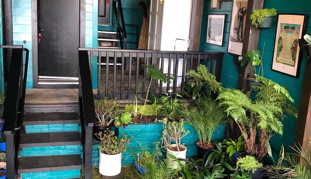 Contemporary, smart, secure home with City views