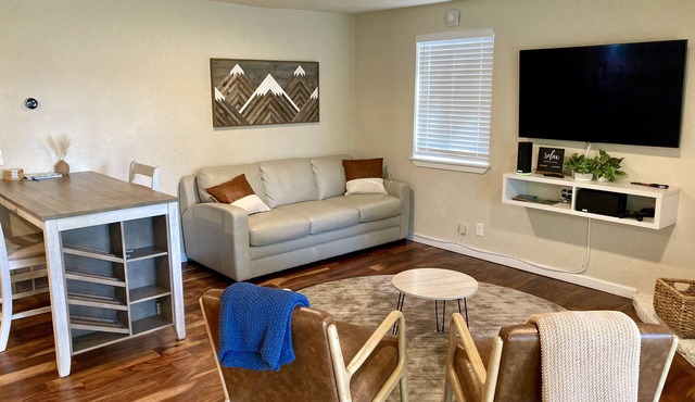 Contemporary Studio . dog-friendly