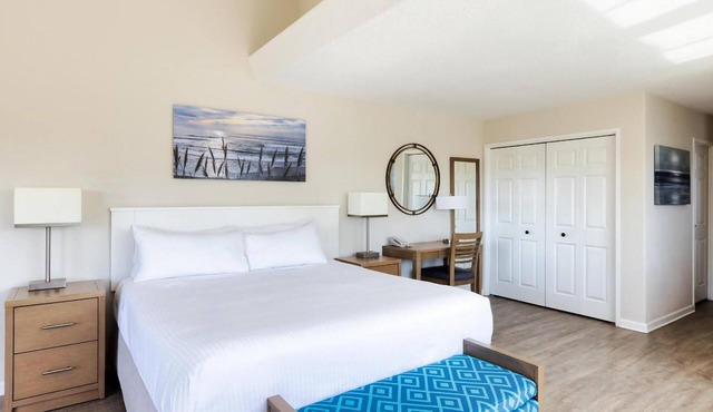 Contemporary Studio Steps Away from Private Beach | Garden View, Heated Pool