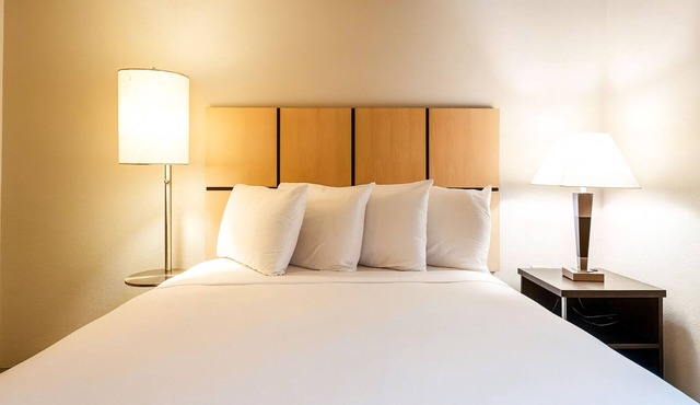 Contemporary Suite | Kitchenette | Near Park