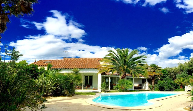 Contemporary villa (16 people) with swimming pool, tropical garden in the woods