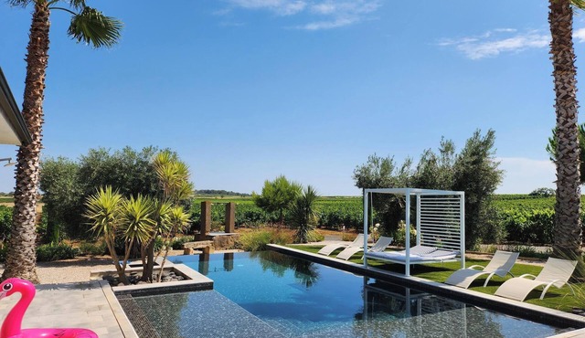 Contemporary wine estate villa with infinity pool