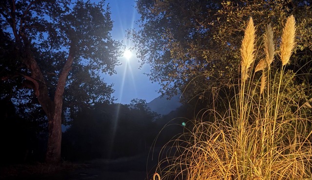 Contemporarycabin inthe wilderness ofSequoiaNP Great stargazing.Pets Kiddos Free
