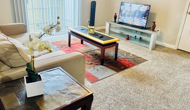 Convenient Cozy 1-BR apartment, close to downtown, NRG, fine dining, Med Ctr