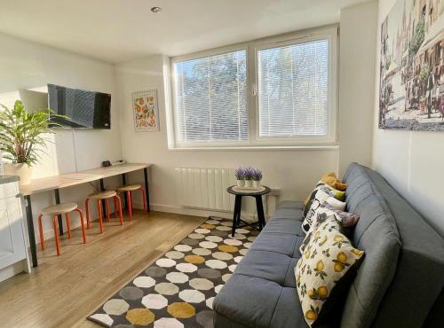 Convenient quiet flat with parking